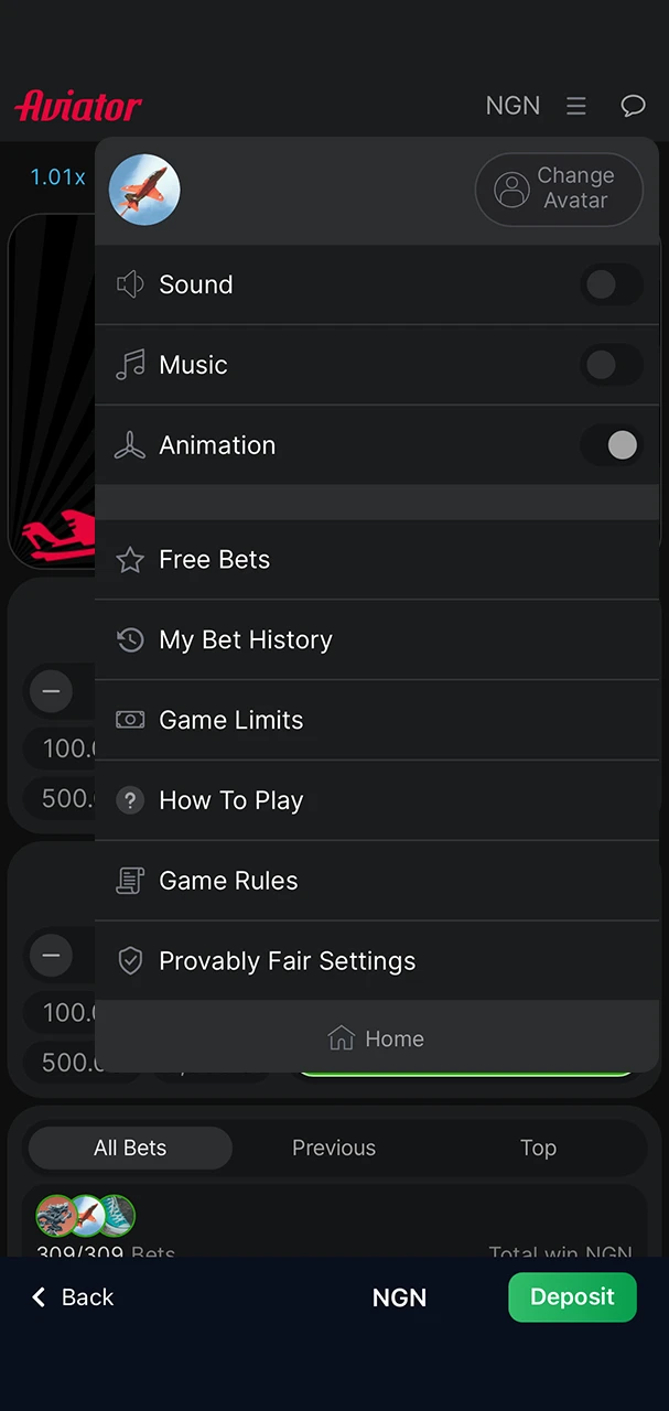 The settings menu in the Aviator game on the 1Win website.