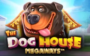 Dynamic free spins in Dog House Megaways at 1win.