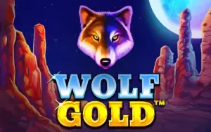 1win offers Wolf Gold with stacked wilds and fixed jackpots.